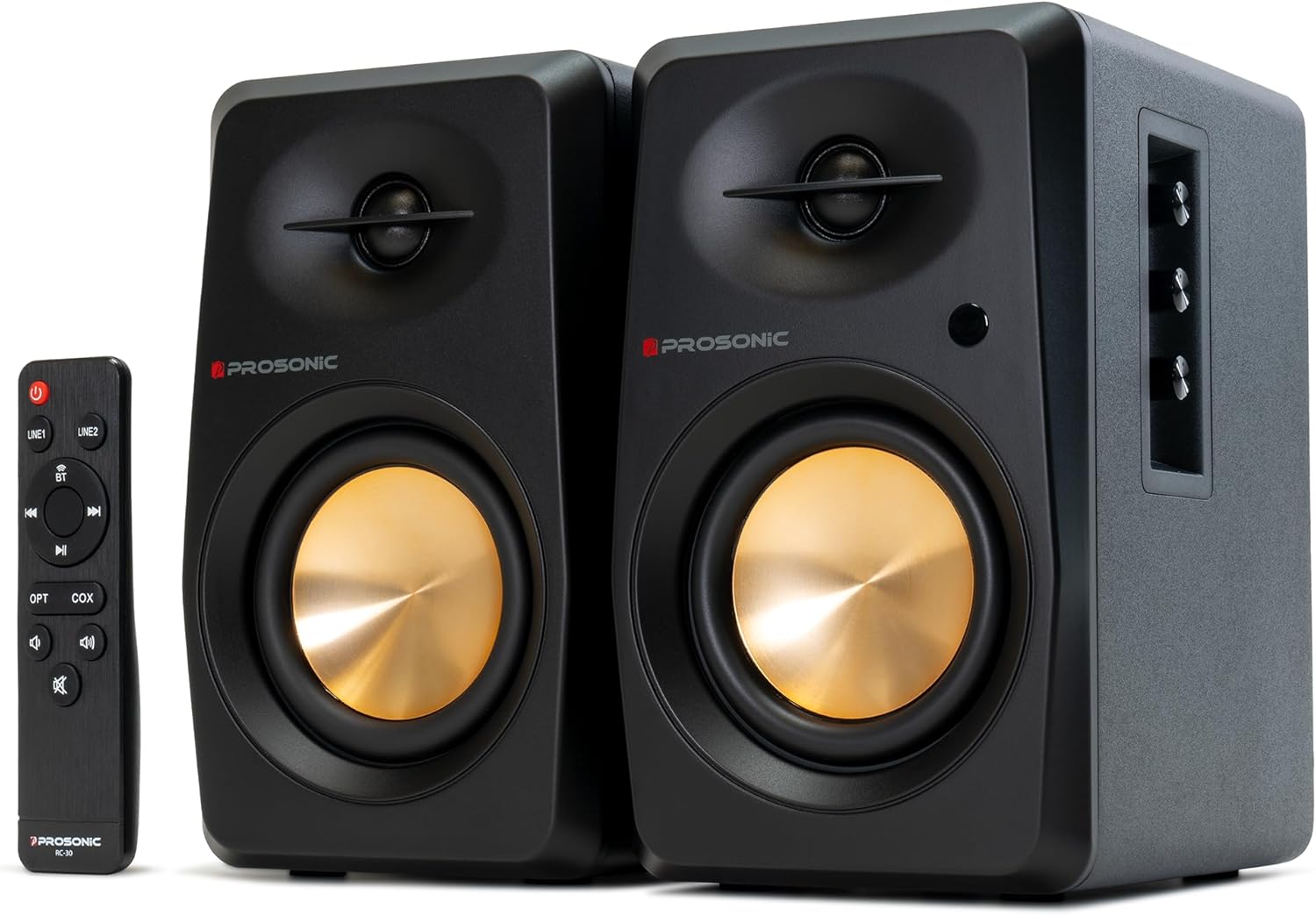 Prosonic BT30 speaker